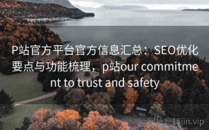 P站官方平台官方信息汇总：SEO优化要点与功能梳理，p站our commitment to trust and safety