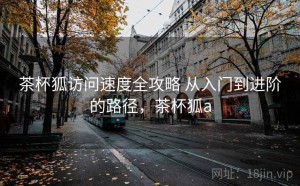 茶杯狐访问速度全攻略 从入门到进阶的路径，茶杯狐a