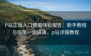 P站正版入口使用体验报告：新手教程与指南一次讲清，p站详细教程
