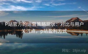 P站官方的运营策略现状：对比与用户关注点，p站盈利方式
