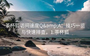茶杯狐访问速度Q&A：技巧一览与快速排查，1.茶杯狐