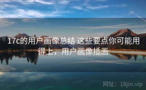 17c的用户画像总结 这些要点你可能用得上，用户画像插画