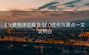 17c使用体验报告 SEO优化与要点一文说明白