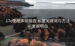 17c使用体验报告 长尾关键词与方法一文说明白