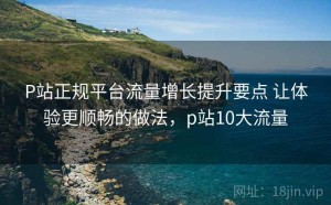 P站正规平台流量增长提升要点 让体验更顺畅的做法，p站10大流量