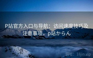 P站官方入口与导航：访问速度技巧及注意事项，p站からん