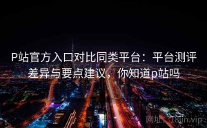 P站官方入口对比同类平台：平台测评差异与要点建议，你知道p站吗