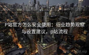 P站官方怎么安全使用：行业趋势观察与设置建议，p站流程