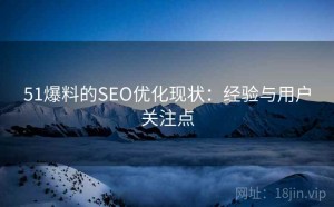 51爆料的SEO优化现状：经验与用户关注点