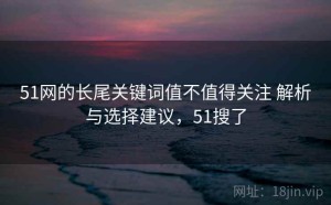 51网的长尾关键词值不值得关注 解析与选择建议，51搜了