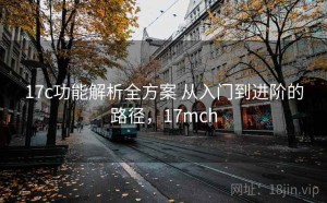 17c功能解析全方案 从入门到进阶的路径，17mch