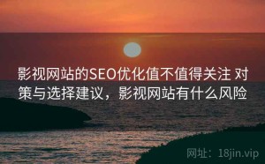 影视网站的SEO优化值不值得关注 对策与选择建议，影视网站有什么风险