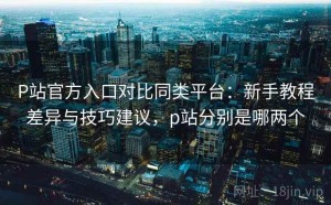 P站官方入口对比同类平台：新手教程差异与技巧建议，p站分别是哪两个