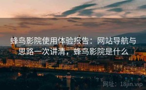 蜂鸟影院使用体验报告：网站导航与思路一次讲清，蜂鸟影院是什么