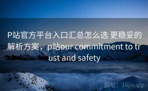P站官方平台入口汇总怎么选 更稳妥的解析方案，p站our commitment to trust and safety