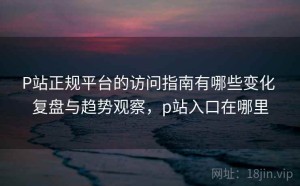 P站正规平台的访问指南有哪些变化 复盘与趋势观察，p站入口在哪里