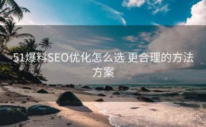51爆料SEO优化怎么选 更合理的方法方案