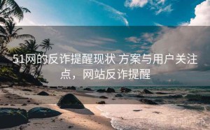 51网的反诈提醒现状 方案与用户关注点，网站反诈提醒