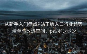 从新手入门盘点P站正版入口行业趋势 清单与改进空间，p站ポンポン