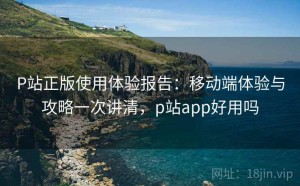 P站正版使用体验报告：移动端体验与攻略一次讲清，p站app好用吗