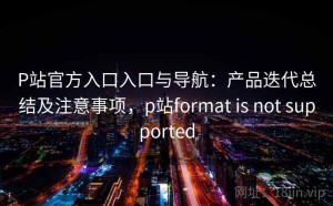 P站官方入口入口与导航：产品迭代总结及注意事项，p站format is not supported
