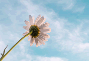 影视网站相关反诈提醒合集 观察与实用工具推荐，官方反诈视频