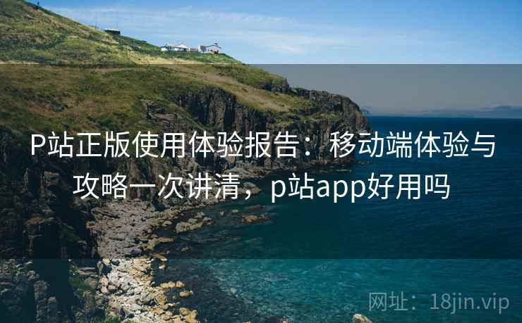 P站正版使用体验报告：移动端体验与攻略一次讲清，p站app好用吗