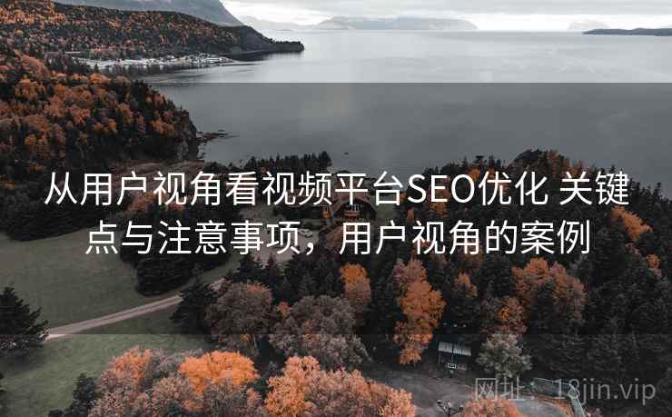 从用户视角看视频平台SEO优化 关键点与注意事项，用户视角的案例