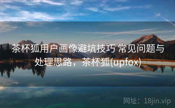 茶杯狐用户画像避坑技巧 常见问题与处理思路，茶杯狐(upfox)