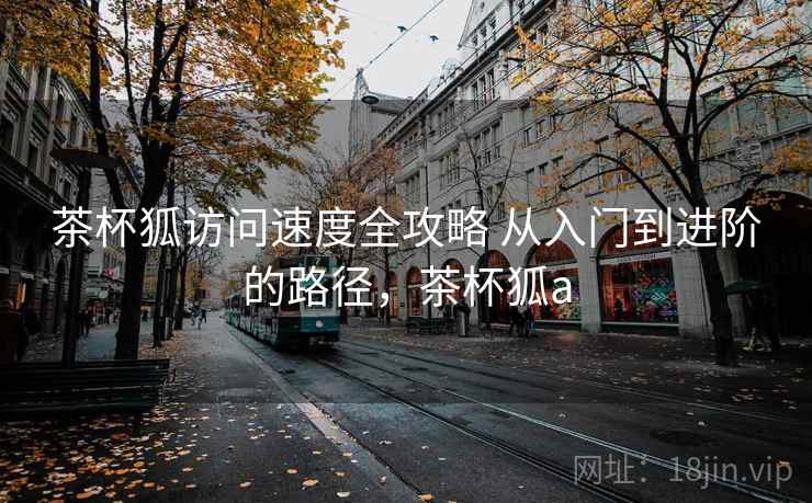 茶杯狐访问速度全攻略 从入门到进阶的路径，茶杯狐a