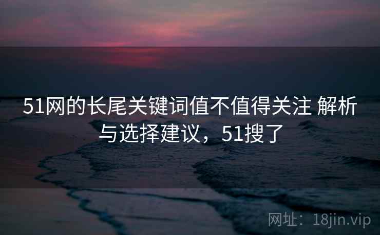 51网的长尾关键词值不值得关注 解析与选择建议，51搜了