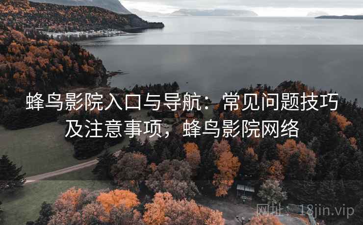 蜂鸟影院入口与导航：常见问题技巧及注意事项，蜂鸟影院网络