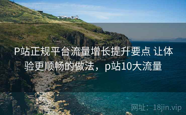 P站正规平台流量增长提升要点 让体验更顺畅的做法，p站10大流量