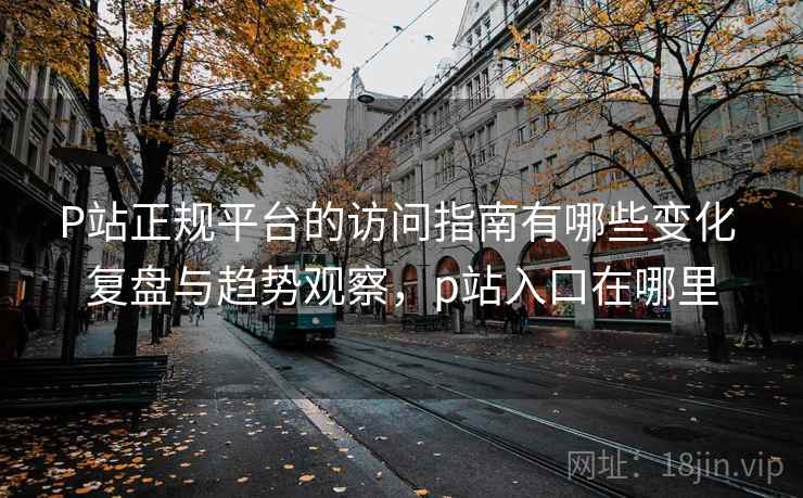 P站正规平台的访问指南有哪些变化 复盘与趋势观察，p站入口在哪里