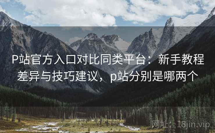 P站官方入口对比同类平台：新手教程差异与技巧建议，p站分别是哪两个
