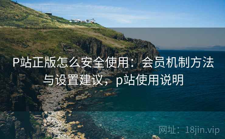 P站正版怎么安全使用：会员机制方法与设置建议，p站使用说明