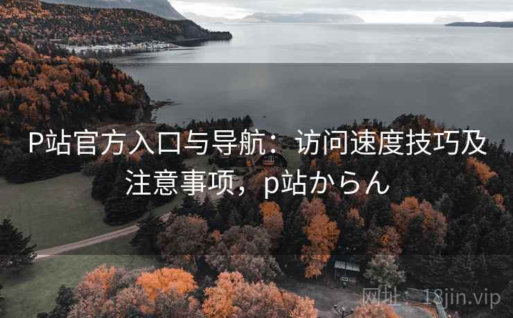 P站官方入口与导航：访问速度技巧及注意事项，p站からん
