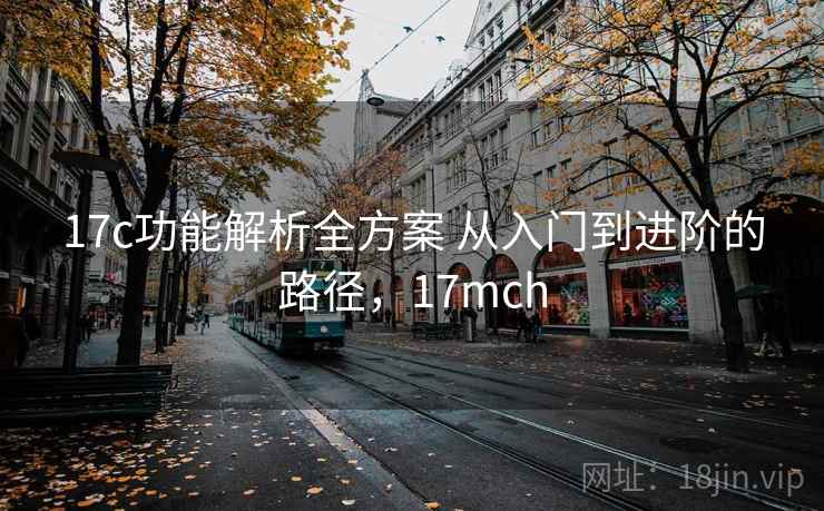 17c功能解析全方案 从入门到进阶的路径，17mch